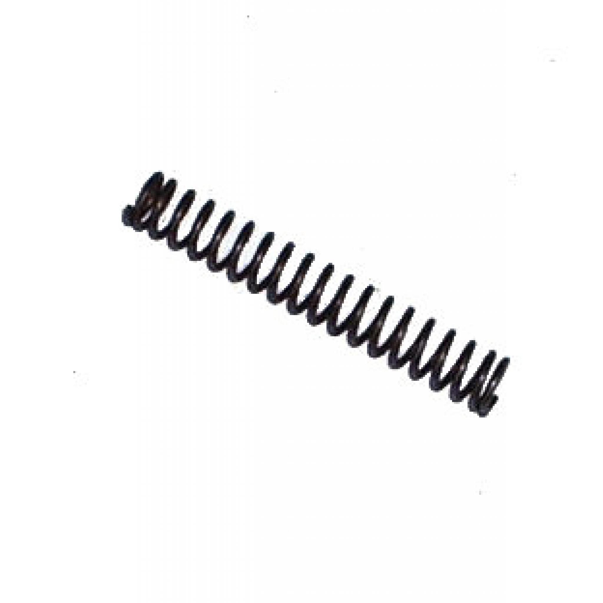 Plunger Spring 574459