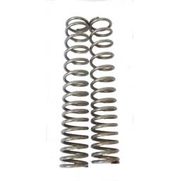 Fork Springs - External Progressive Stainless Steel 01.jpg