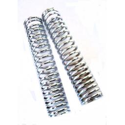 External Fork Springs 02.jpg