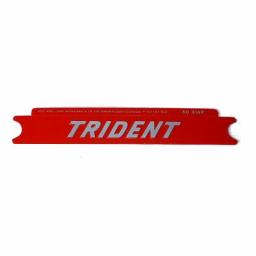 Panel Model Name - Trident.jpg